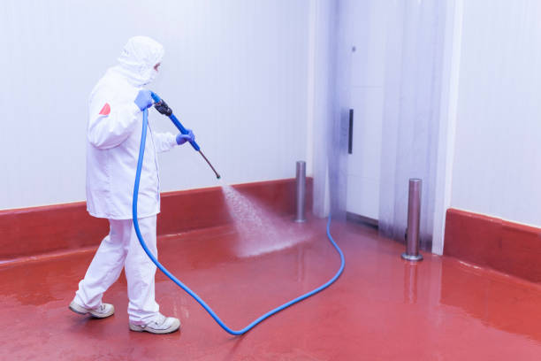 Best Factory Floor Cleaning  in Roebuck, SC